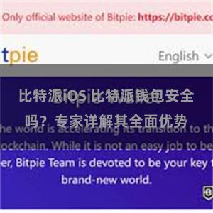 比特派iOS 比特派钱包安全吗？专家详解其全面优势