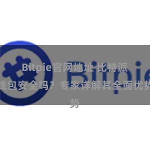 Bitpie官网地址 比特派钱包安全吗？专家详解其全面优势