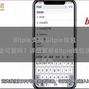 Bitpie支持 Bitpie钱包安全可靠吗？详细解析Bitpie钱包优势