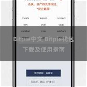 Bitpie中文 Bitpie钱包下载及使用指南