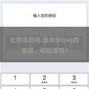 比特派扫码 选择Bitpie的原因，你知道吗？