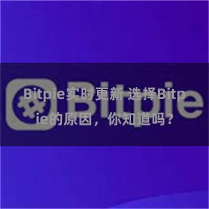 Bitpie实时更新 选择Bitpie的原因，你知道吗？