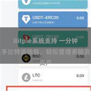 Bitpie系统支持 一分钟上手比特派钱包，轻松管理多链资产