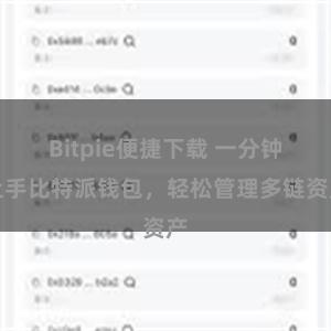 Bitpie便捷下载 一分钟上手比特派钱包，轻松管理多链资产