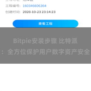 Bitpie安装步骤 比特派：全方位保护用户数字资产安全