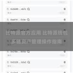 比特派官方应用 比特派钱包多链资产管理操作指南