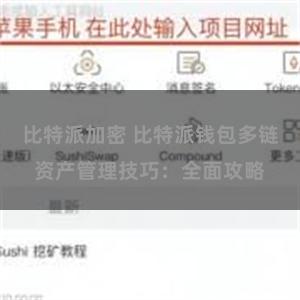 比特派加密 比特派钱包多链资产管理技巧：全面攻略