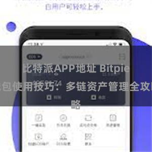 比特派APP地址 Bitpie钱包使用技巧：多链资产管理全攻略