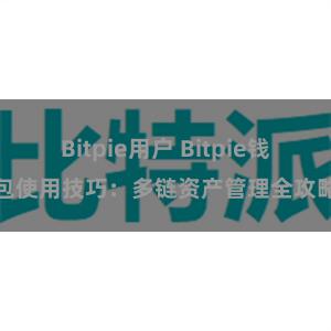 Bitpie用户 Bitpie钱包使用技巧：多链资产管理全攻略