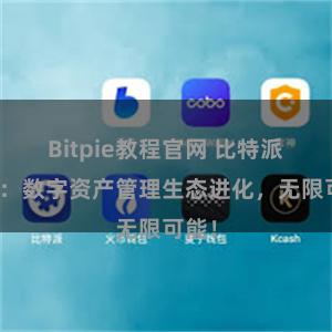 Bitpie教程官网 比特派钱包：数字资产管理生态进化，无限可能！