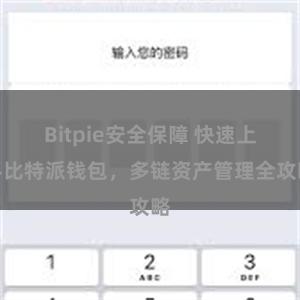 Bitpie安全保障 快速上手比特派钱包，多链资产管理全攻略