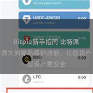 Bitpie新手指南 比特派钱包：强大的隐私保护功能，让您资产更安全