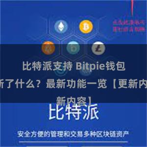 比特派支持 Bitpie钱包更新了什么？最新功能一览【更新内容】