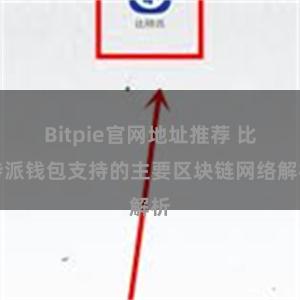 Bitpie官网地址推荐 比特派钱包支持的主要区块链网络解析