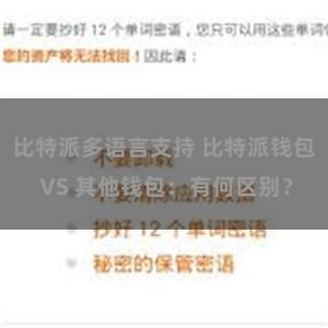 比特派多语言支持 比特派钱包 VS 其他钱包：有何区别？