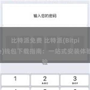 比特派免费 比特派(Bitpie)钱包下载指南：一站式安装体验