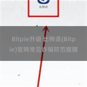 Bitpie升级 比特派(Bitpie)官网常见诈骗防范提醒