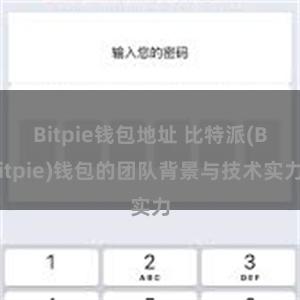 Bitpie钱包地址 比特派(Bitpie)钱包的团队背景与技术实力