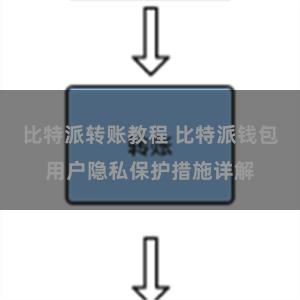 比特派转账教程 比特派钱包用户隐私保护措施详解