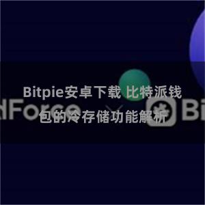 Bitpie安卓下载 比特派钱包的冷存储功能解析