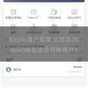 Bitpie用户指南 比特派(Bitpie)钱包适合何种用户？